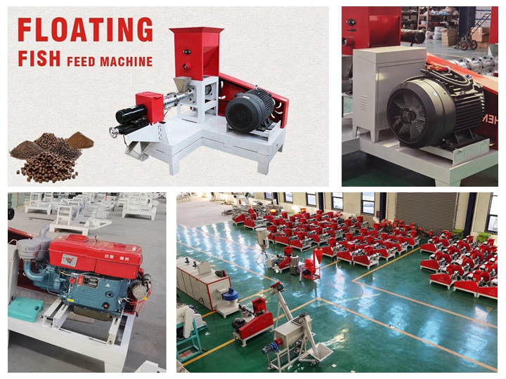 Pakistan birds feed extruder